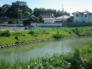 戸切川(福岡県)
