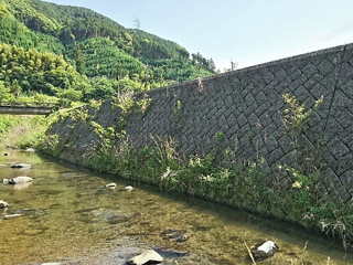 福岡県(八木山川)